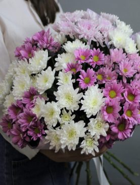 Букет из 15 хризантем
