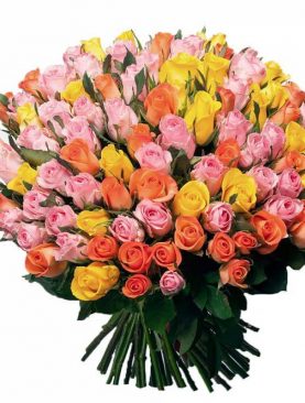 101 роза кении