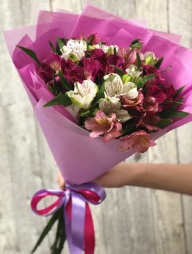 Букет альстромерий 7 шт